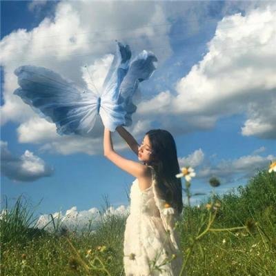 陈辰全明星